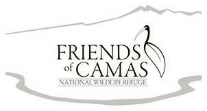 Friends of Camas
